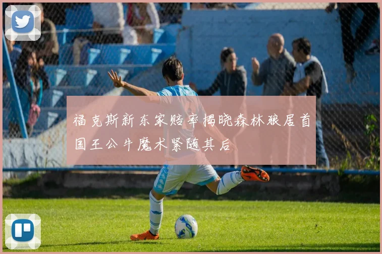 福克斯新东家赔率揭晓森林狼居首国王公牛魔术紧随其后